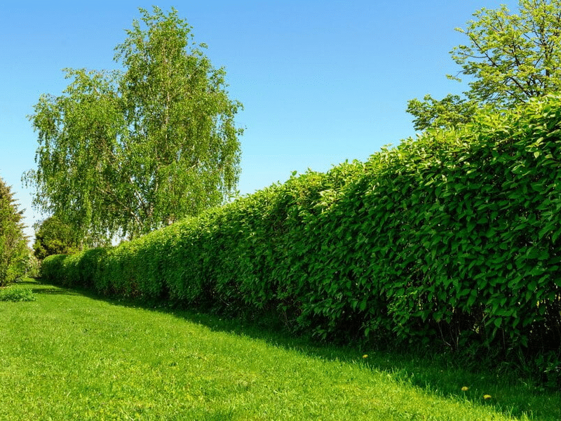Aktuelle Nachbarschafts-Jobs